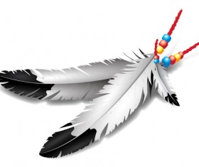 Realistic feather illustration design vector 02