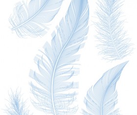 Realistic feather illustration design vector 03