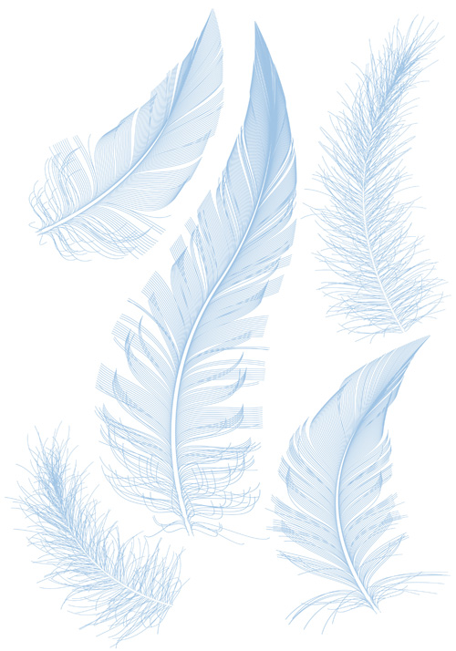 Realistic feather illustration design vector 03