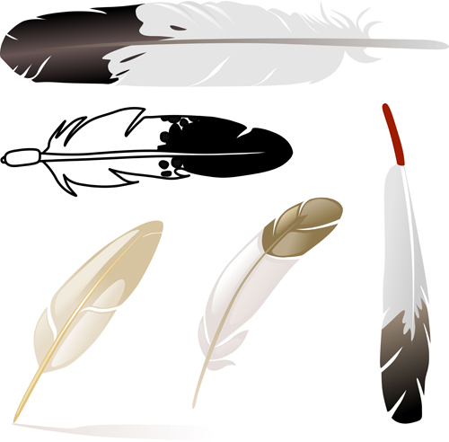 Realistic feather illustration design vector 04