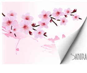 Spring pink flower vector background graphics 01