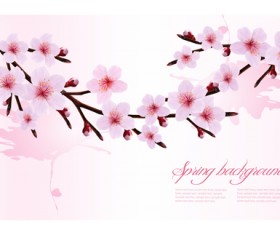 Spring pink flower vector background graphics 02