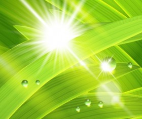 Summer sunlight background art vector 02