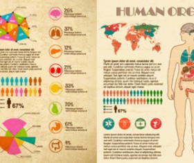Vintage human organ infographics vector