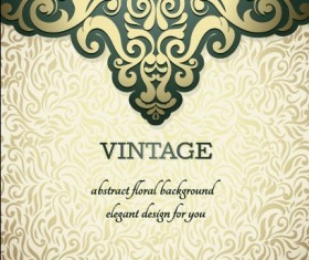 Vintage ornate ornaments pattern background art 04