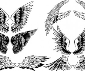 Vintage wings design vector set 03