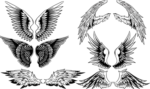 Vintage wings design vector set 03 free download