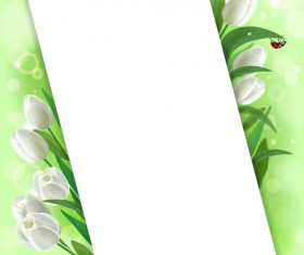 White tulips vector background graphics