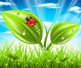 Vibrant spring elements vector background art 01