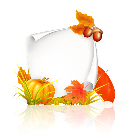Autumn elements with blank paper background vector