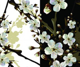 Beautiful cherry drawn elements vector