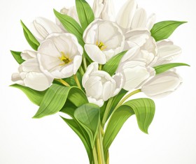 Beautiful white tulips vector material