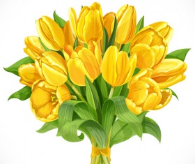 Beautiful yellow tulips vector