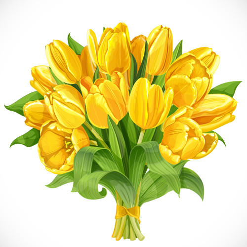 Beautiful yellow tulips vector free download