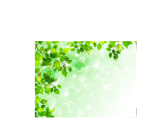 Bubble and tree leaves vector background 01
