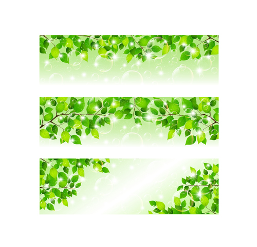 Bubble and tree leaves vector background 02