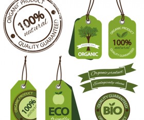 Eco ribbon with tags design vector