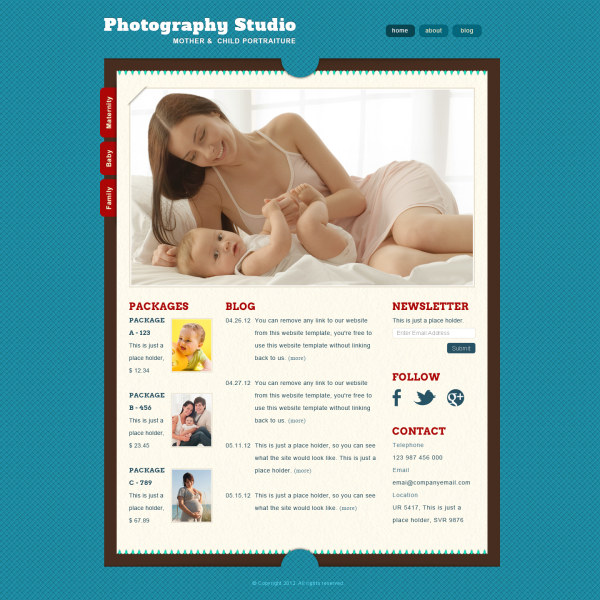 Exquisite maternal website template