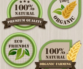 Green eco labels vector material set