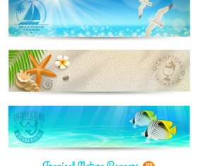 Ocean with beach holiday banner vector