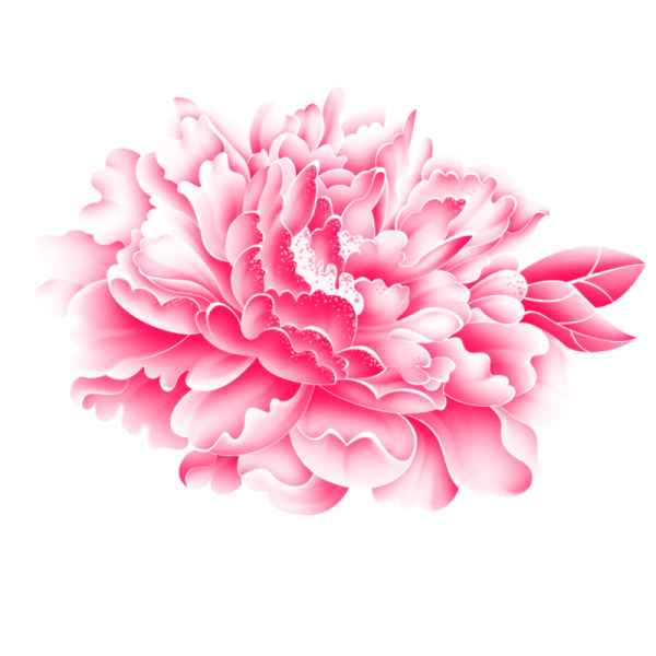 Realistic pink flower psd graphics