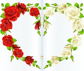 Red rose and white rose heart background vector