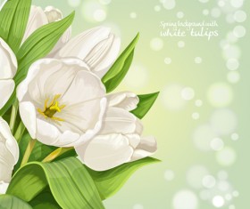 Shiny white tulips vector background graphics