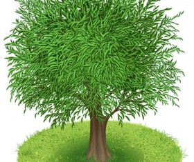 Spring green tree design vector graphic 01