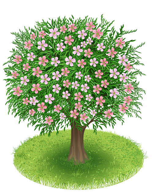 Spring green tree design vector graphic 02
