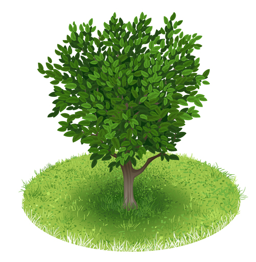 Spring green tree design vector graphic 03