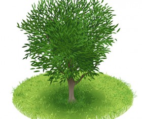 Spring green tree design vector graphic 04