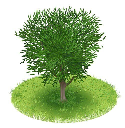 Spring green tree design vector graphic 04