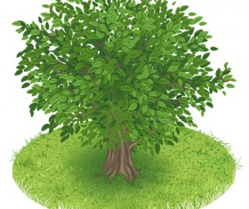 Spring green tree design vector graphic 05