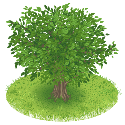 Spring green tree design vector graphic 05