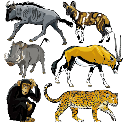 Vector set of wild animals design graphic 08