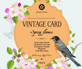 Vintage flower and bird card vector graphics 01