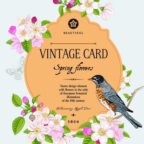 Vintage flower and bird card vector graphics 01