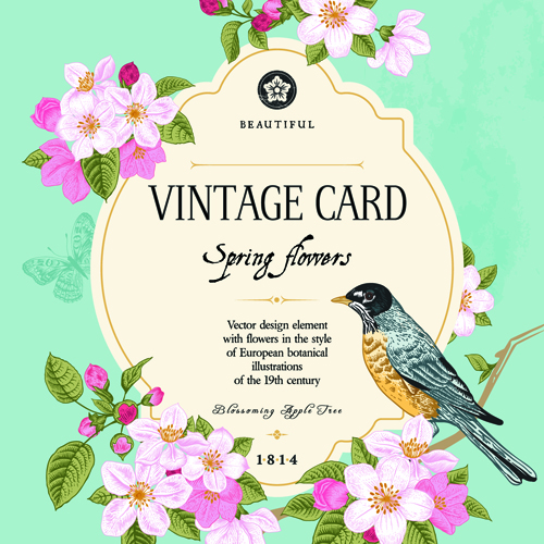 Vintage flower and bird card vector graphics 02