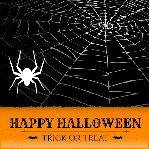 Vector spider web design background graphics 01