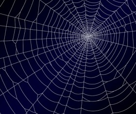 Vector spider web design background graphics 04