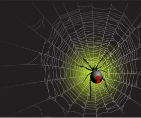 Vector spider web design background graphics 05
