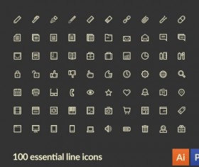100 Kind small fine essential line icons vector