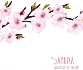Beautiful sakura vector background graphics 01