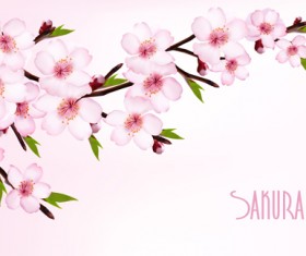 Beautiful sakura vector background graphics 02
