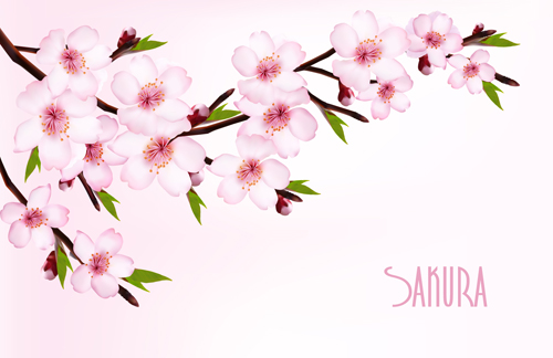 Beautiful sakura vector background graphics 02