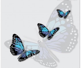 Charming butterflies with butterfly background vector graphics 01