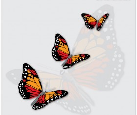 Charming butterflies with butterfly background vector graphics 02