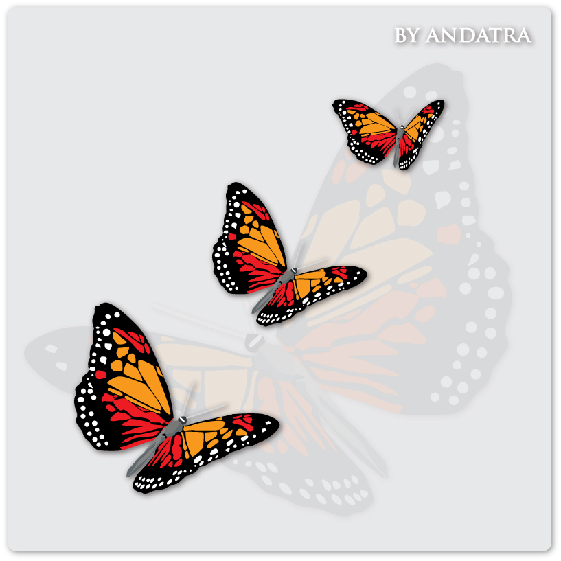 Charming butterflies with butterfly background vector graphics 02