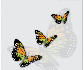 Charming butterflies with butterfly background vector graphics 03