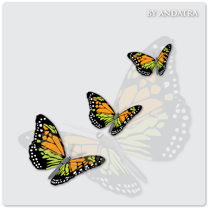 Charming butterflies with butterfly background vector graphics 03